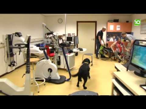 brabant10 nieuws - dinsdag 1 maart 2011