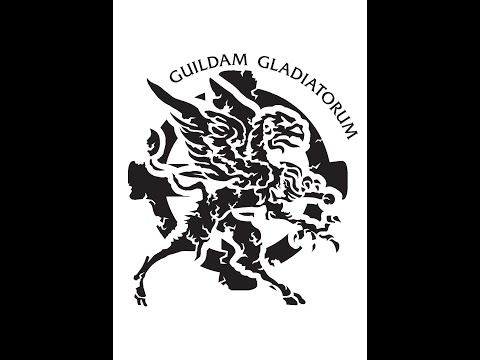 Meyer Long sword Zufechten