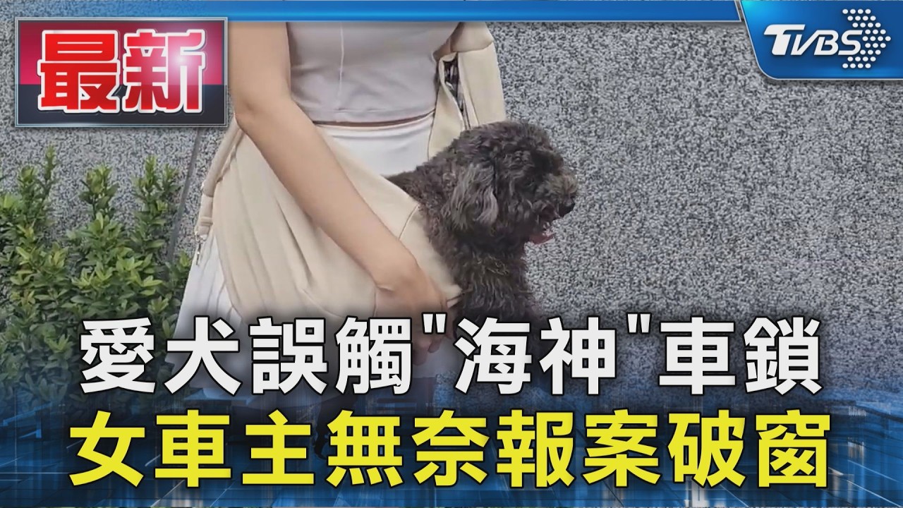 愛犬誤觸「海神」車鎖 女車主無奈報案破窗｜TVBS新聞 @TVBSNEWS01