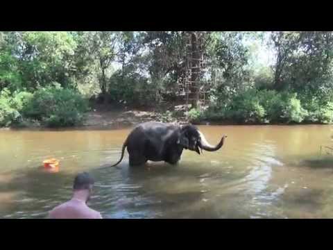 Экскурсия к водопаду, купание со слоном, плантация специй