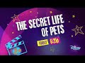 Disney Channel The Secret Life Of Pets Promo July 30 2021