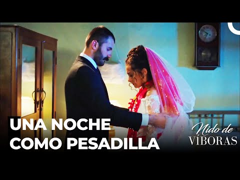 ¡Elvan Fue Casada Con Fuerza! - Nido De Víboras