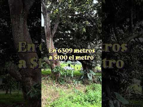 Terreno en Venta en Concepción de San Rafael de Heredia