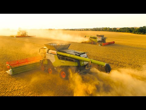 100 Hektar pro Tag | 3 x Lexion 8700 in der Weizenernte | Fendt | Claas | Tegethoff | Rath-Video