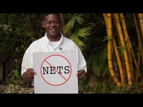 Ban Gillnets in Belize