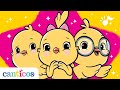 CANTICOS The 1 Bilingual Preschool Brand