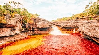Llegué Al Río De 7 Colores Que Antes NADIE Podía Entrar: La 8va Maravilla del Mundo - WilliamRamosTV