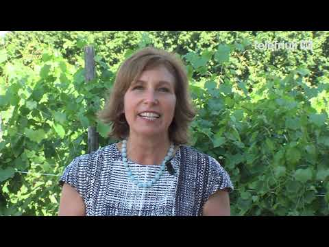 F come Futuro - Pozzuolo del Friuli - Ersa - 06 Agosto 2020