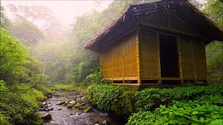 Música relaxante na natureza para acalmar a mente, meditar.... 30 minutos
