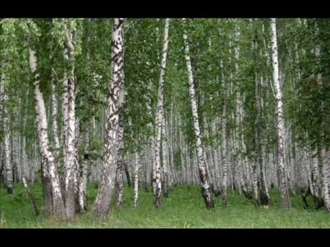 IRENA Vrčkovnik-Breze.