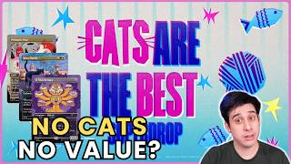Where are all the Cats??? | Cats are the Best Secret LairSuperdrop