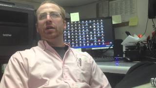 Outback Interview
