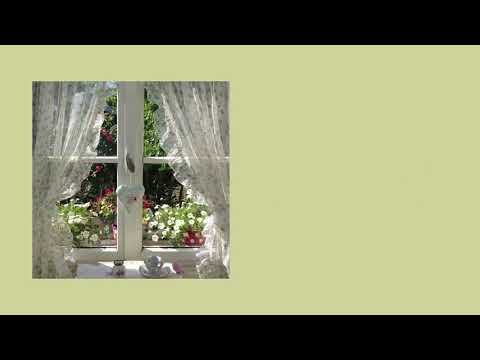 lying has to stop - clairo | lyrics ♡