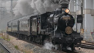 SL人吉　JR九州株式上場7周年記念号　8620 58654 +50系客車+@e10DE10