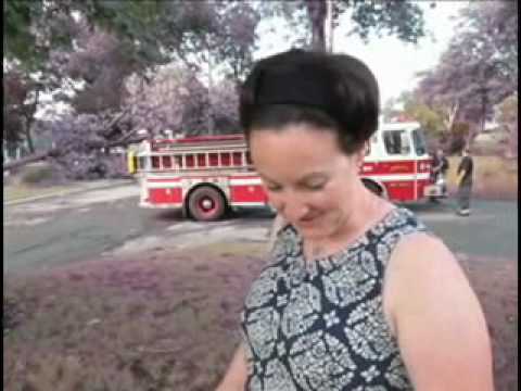 Fierce lightning wreaks havoc on trees