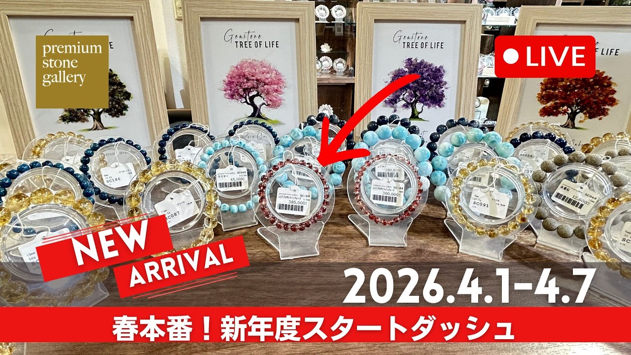 ＼新年度スタートダッシュ／新着先取りライブ 2026/3/31