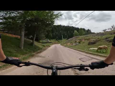 VUČJA LUKA - HREŠA