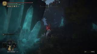 ELDEN RING 褪男版初見(PC):全ボス 61_3
