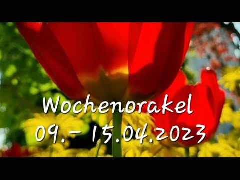 Wassermann ♒️ Waage ♎️ Zwillinge ♊️ Wochenorakel 09.- 15.04.23 | Tarot | Lennormand | Orakel