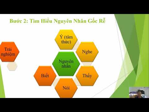 Đào Tạo Chuyển Hóa Tâm Thức Tiêu Cực Sang Tích Cực: 5 Bước Khai Sáng