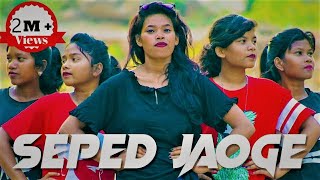 Seped Jaoge  New Ho Munda Song 2020  Ft Fulmati Si