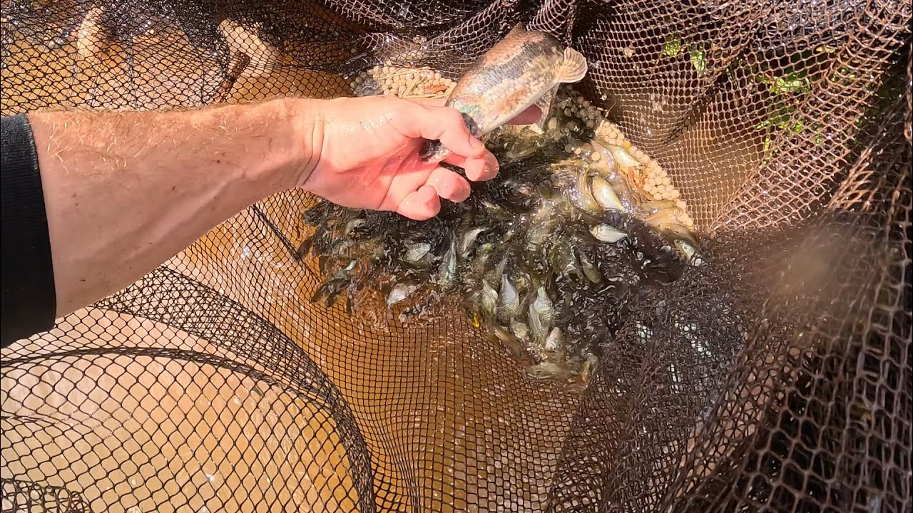 Se pega no dedo faz estrago