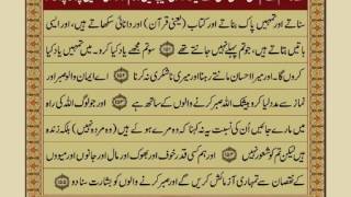 Quran Para 2 with Urdu Translation  Recitation : M