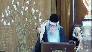 הרה"ג הרב וועכטר שליט"א ב' חשון תשפ"ד - מאמר תורה אור בראשית ד"ה להבין עניין הברכות חלק ד (הרב אברהם מנחם מענדל וכטר) - התמונה מוצגת ישירות מתוך אתר האינטרנט יוטיוב. זכויות היוצרים בתמונה שייכות ליוצרה. קישור קרדיט למקור התוכן נמצא בתוך דף הסרטון