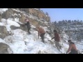 Lewis Clark The Movie
