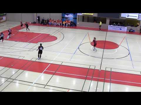 Naisten futsal-liiga 2017-2018 / Liikunnan Riemu vs .Ylöjärven Ilves maalikooste 28.10.2017