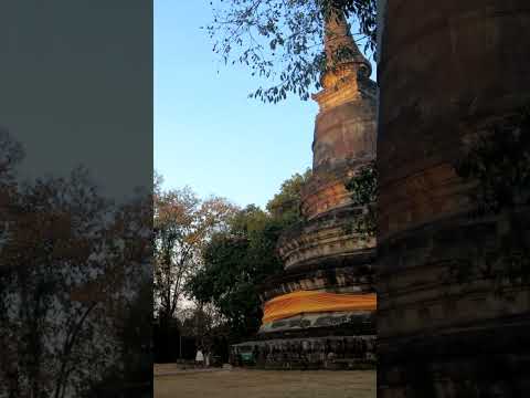 Em Wat Umong [Meditação]