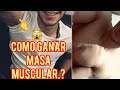MASA MUSCULAR LO QUE DEBES SABER 4 Claves Fundamentales
