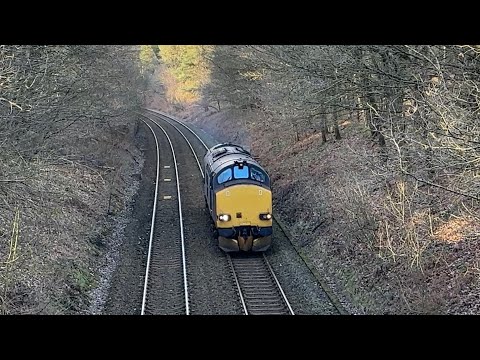 37612 Delamere Forest 22/01/24