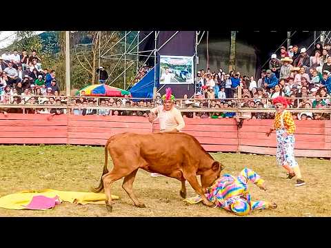 Reviviendo mejores momentos de la gran corrida de toros en Chota, Cajamarca, en su aniversario.