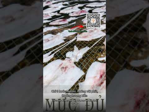 Mực khô loại 1 size L 0.5kg – Hải Sản Ông Ba