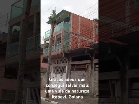 14 de novembro de 2025