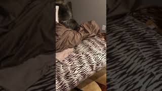 Download lagu Ellie Trapped in Sheet mp3