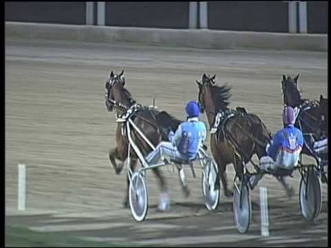 Trotto 30/12/2016 - 8ª corsa - TRIS