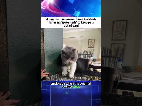 Arlington homeowner faces backlash for using 'spike mats' to keep pets out of yard#news