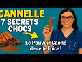 7 Secrets de la Cannelle Que Personne n’Ose Révéler !