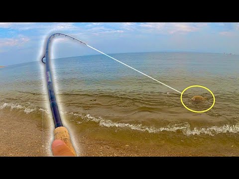 Fishing For FLUKE Right In The SURF | THIS Catch & Cook HIT The SPOT!