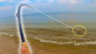 Fishing For FLUKE Right In The SURF | THIS Catch & Cook HIT The SPOT!