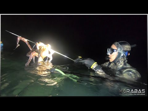EP633-P1 - Overnight Camping and Spear Fishing | Catch 'n Cook | Occ. Mindoro