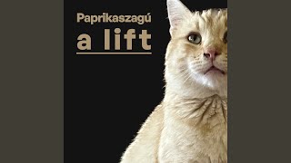 paprikaszagú lift - demo Music Video