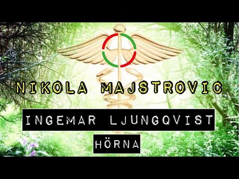 Ingemar Ljungqvist hörna - Nikola Majstrovic