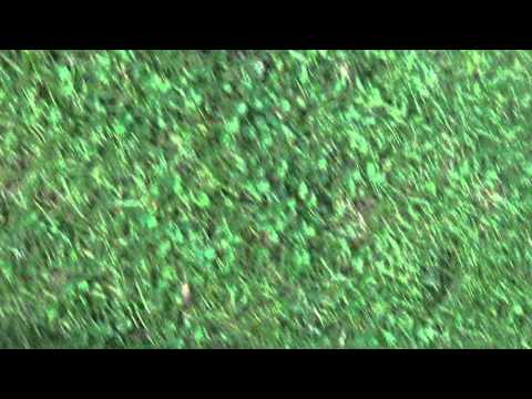 FV 06 Sprendlingen gegen Offenbach Bieber Teil 5