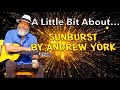 A Little Bit About... Ep. 1 - Sunburst