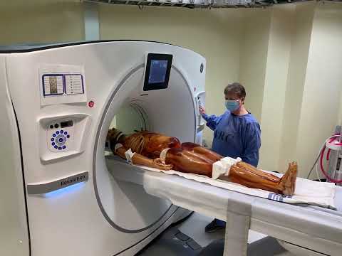 Adult Full Body with Muscles Clinical Application