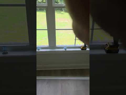 Bullish Blind quick look video thumbnail