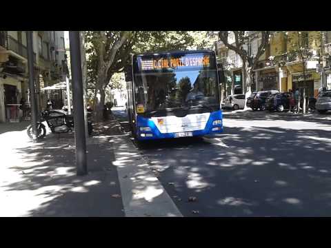 Arrivée du MAN Lion's City n°80 CTPM